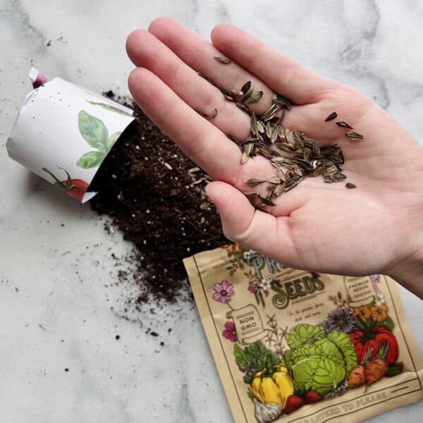 20 Flower seeds to plant in February 🌱 Kickstart your spring blooms!