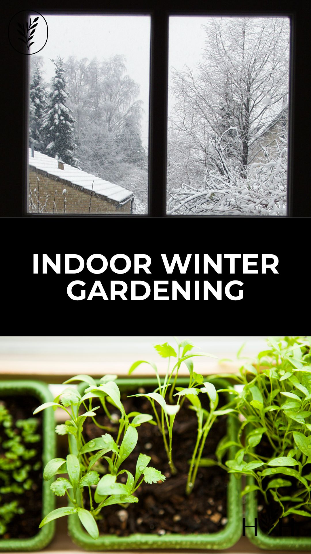 Indoor winter gardening via @home4theharvest