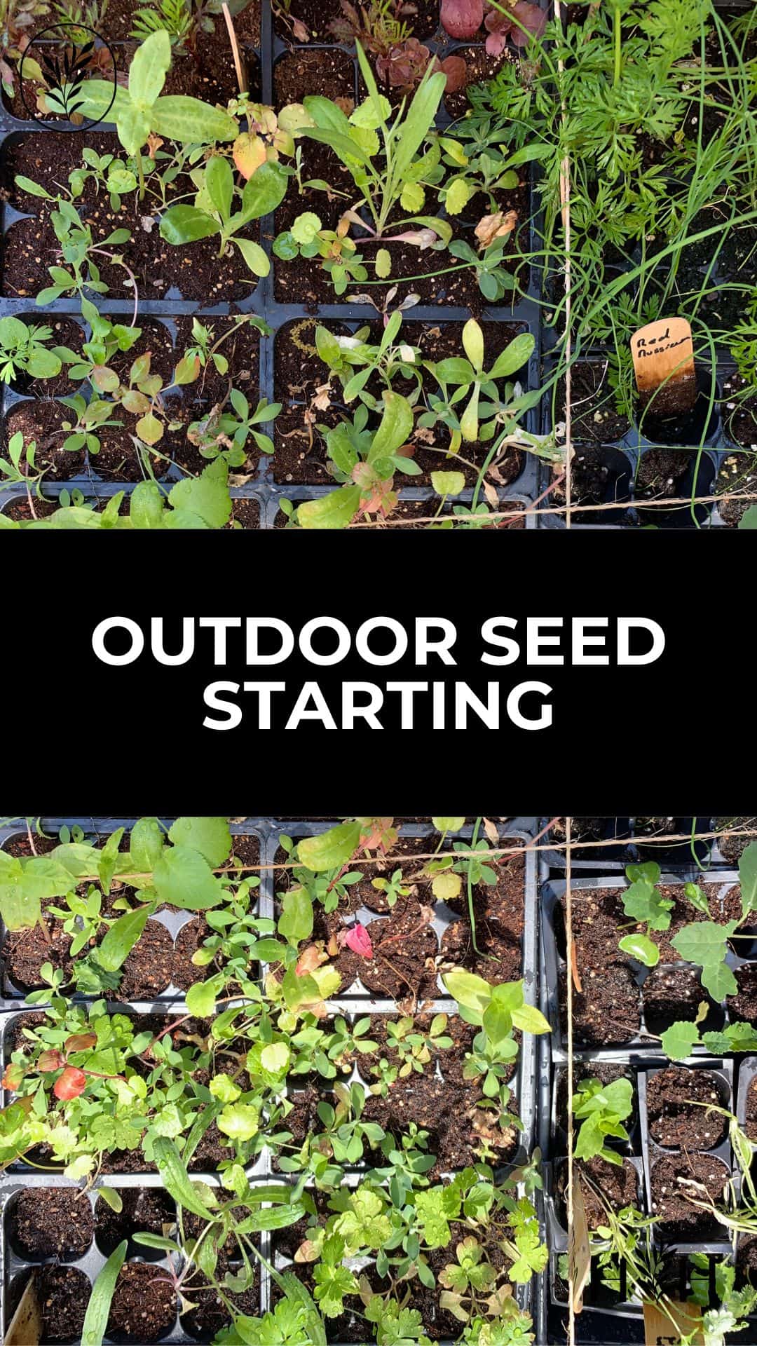 Outdoor seed starting via @home4theharvest