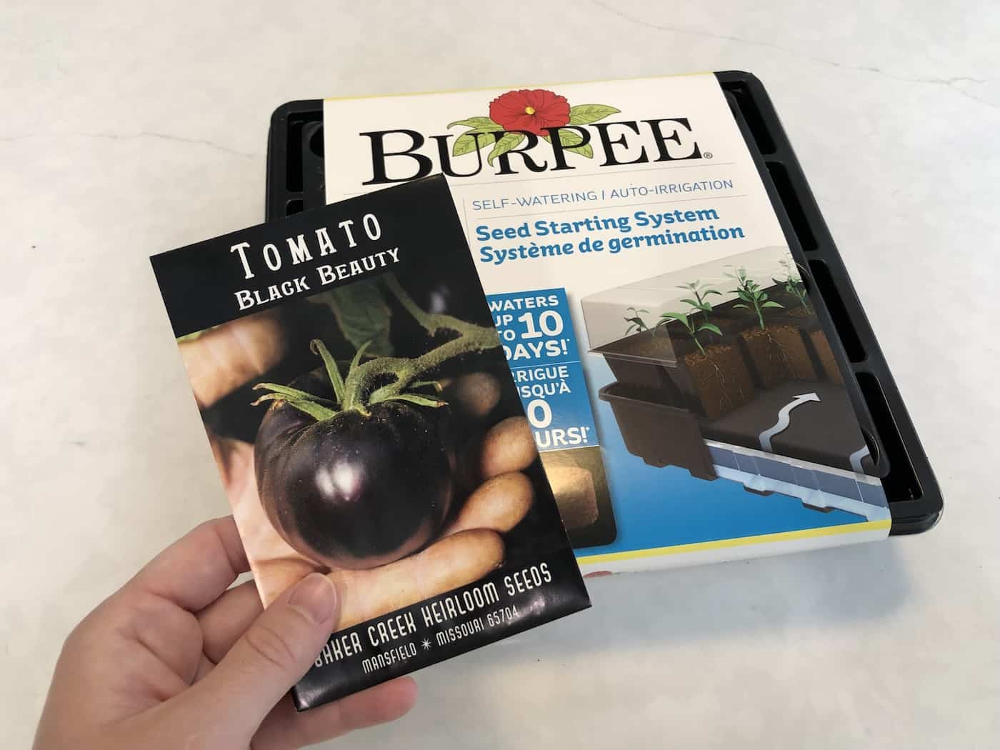Planting tomato seeds - seed starting indoors