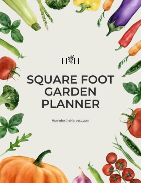 Square foot garden planner