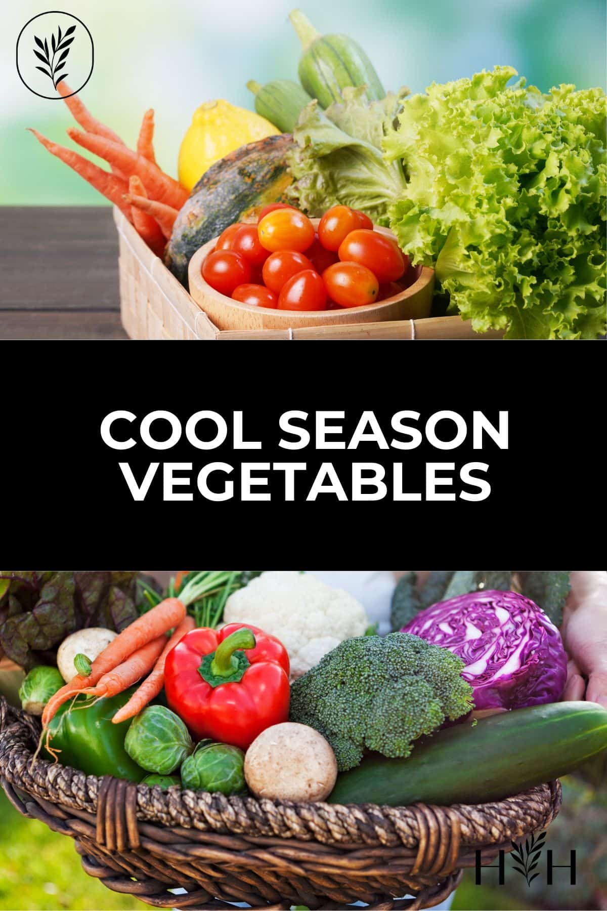 Cool season vegetables via @home4theharvest
