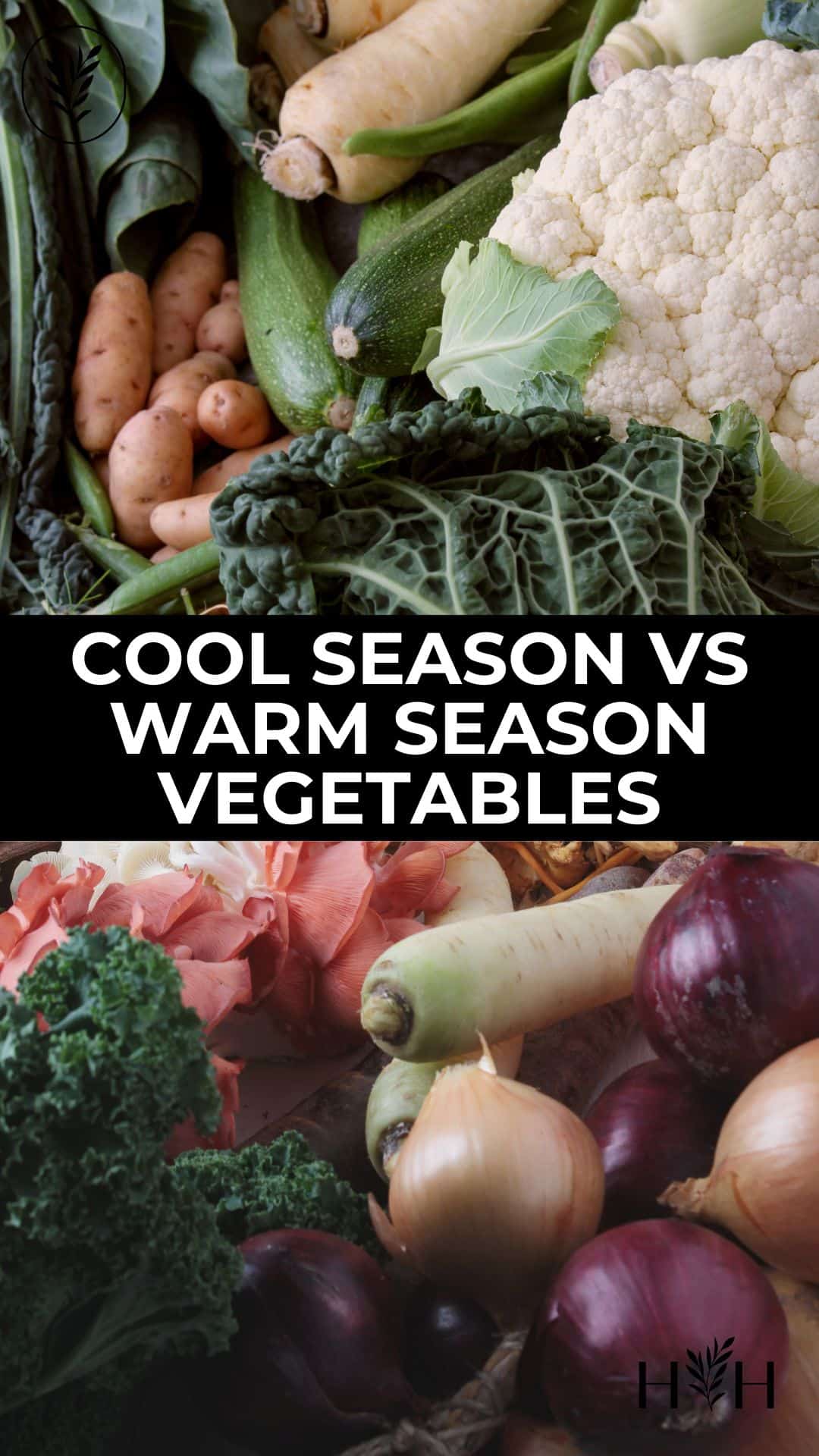 Cool season vs warm season vegetables via @home4theharvest