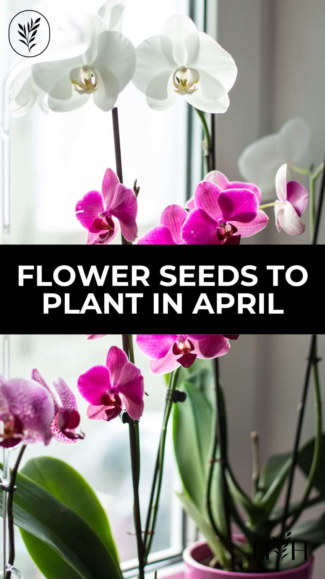 Flower seeds to plant in april via @home4theharvest