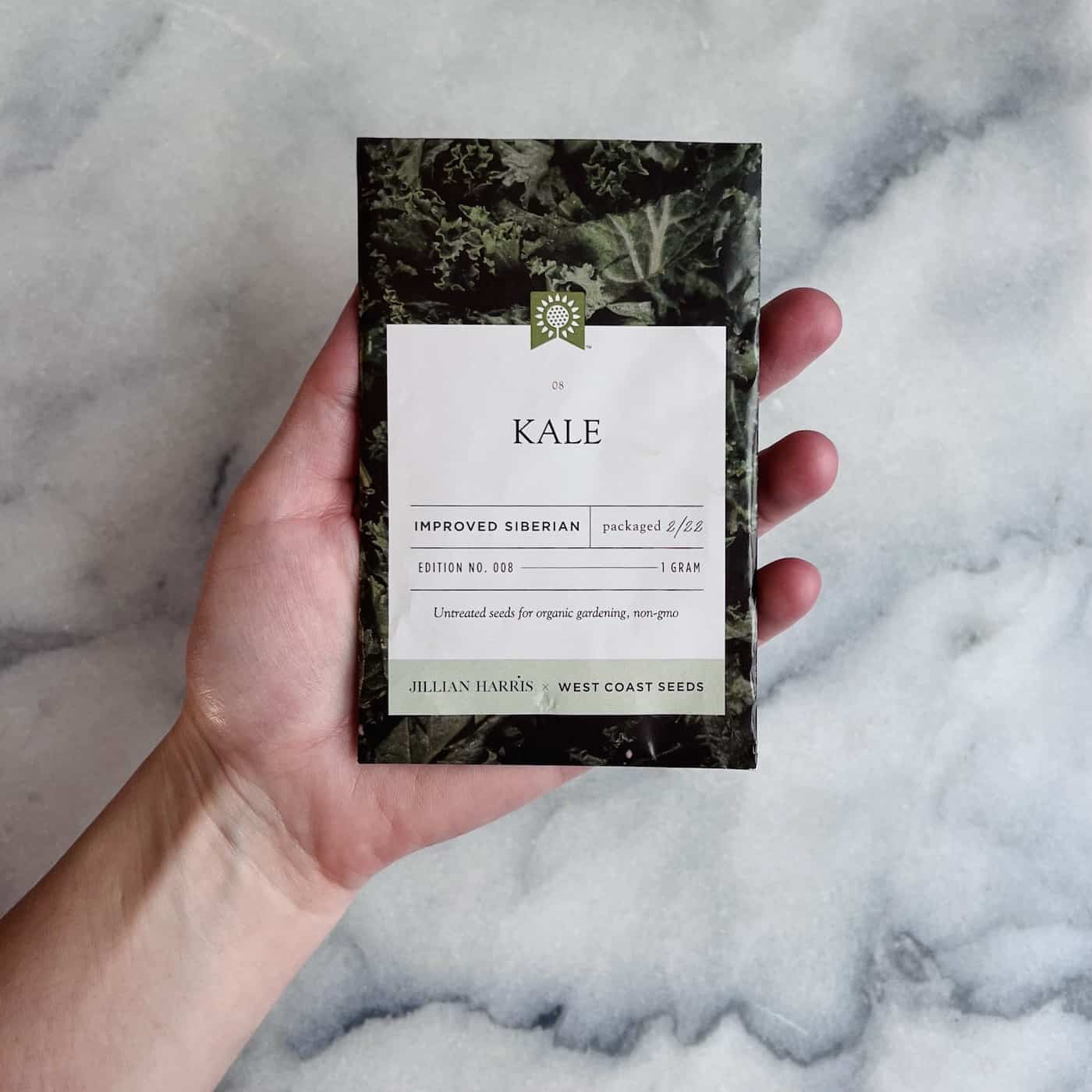 How to grow kale 塞 Discover the key steps for a hearty harvest