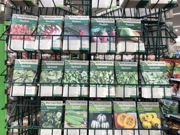 how to plant vegetable seeds