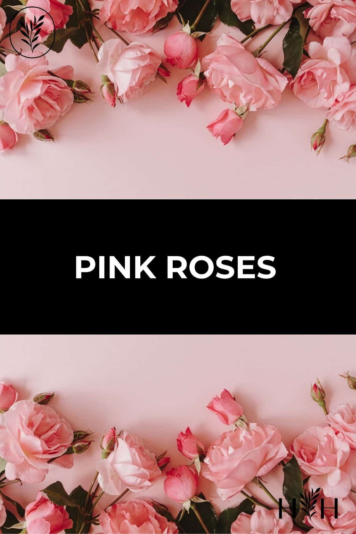 Pink roses via @home4theharvest