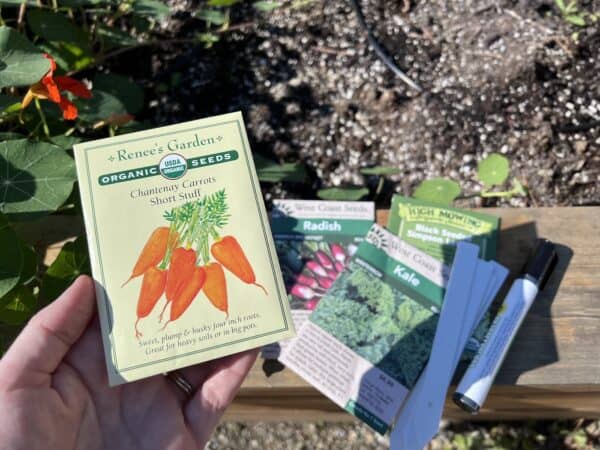 when to plant seeds outside