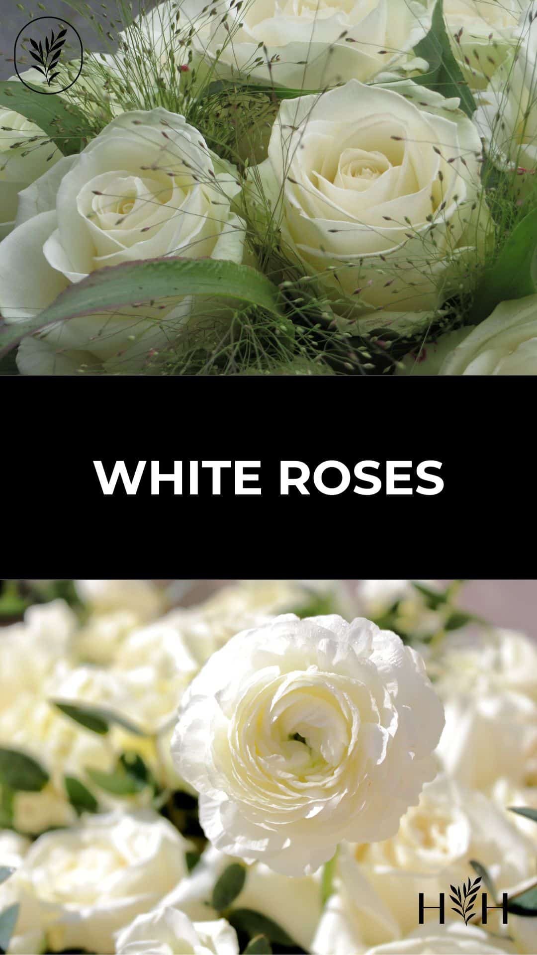 White roses via @home4theharvest