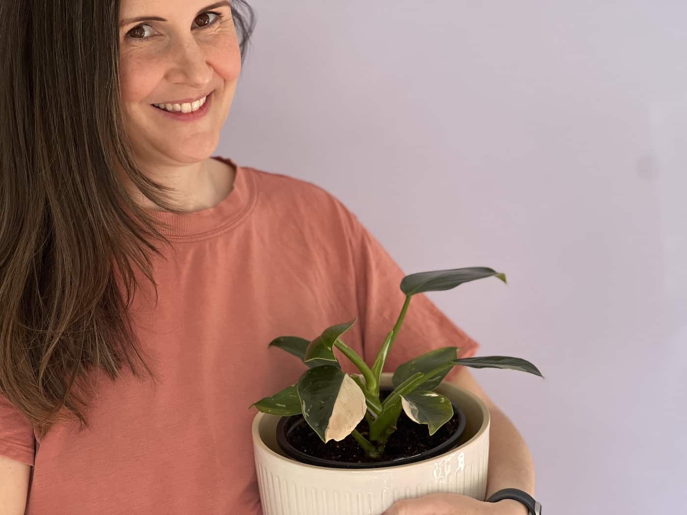 Buying a new white knight philodendron
