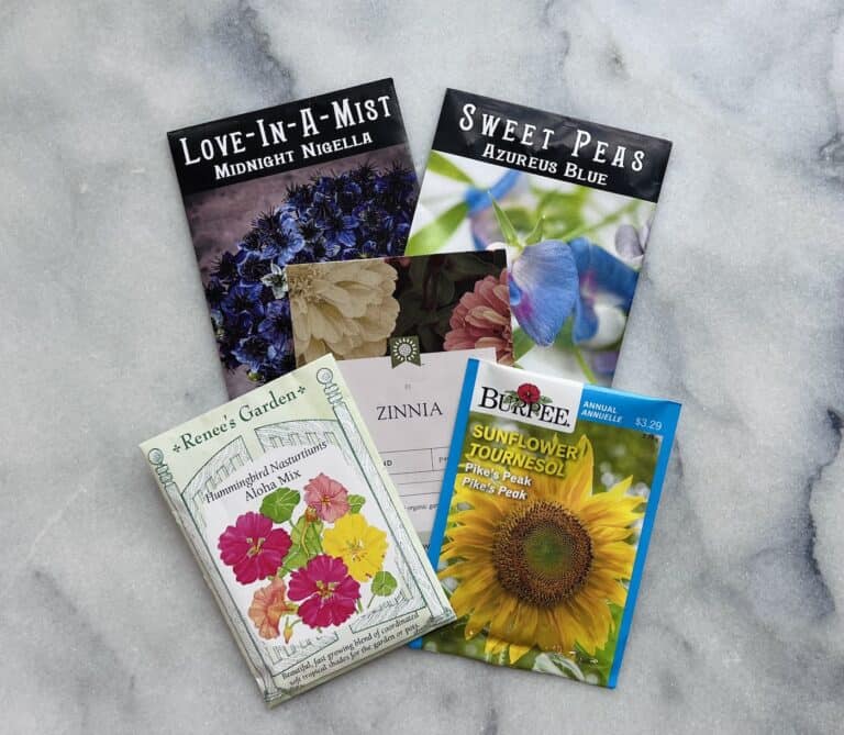 Flower seeds to plant in may