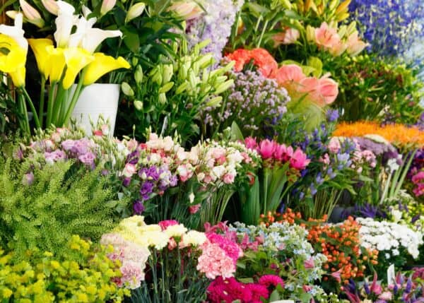 9+ best flowers for bouquets 🌸💐 Crafting the perfect floral arrangement