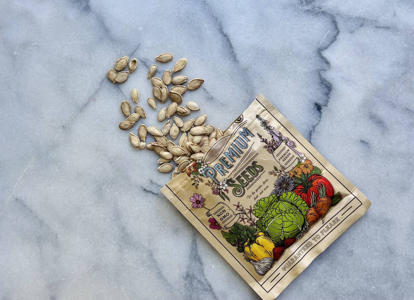 Best temperature to germinate seeds ️ Unlocking nature'