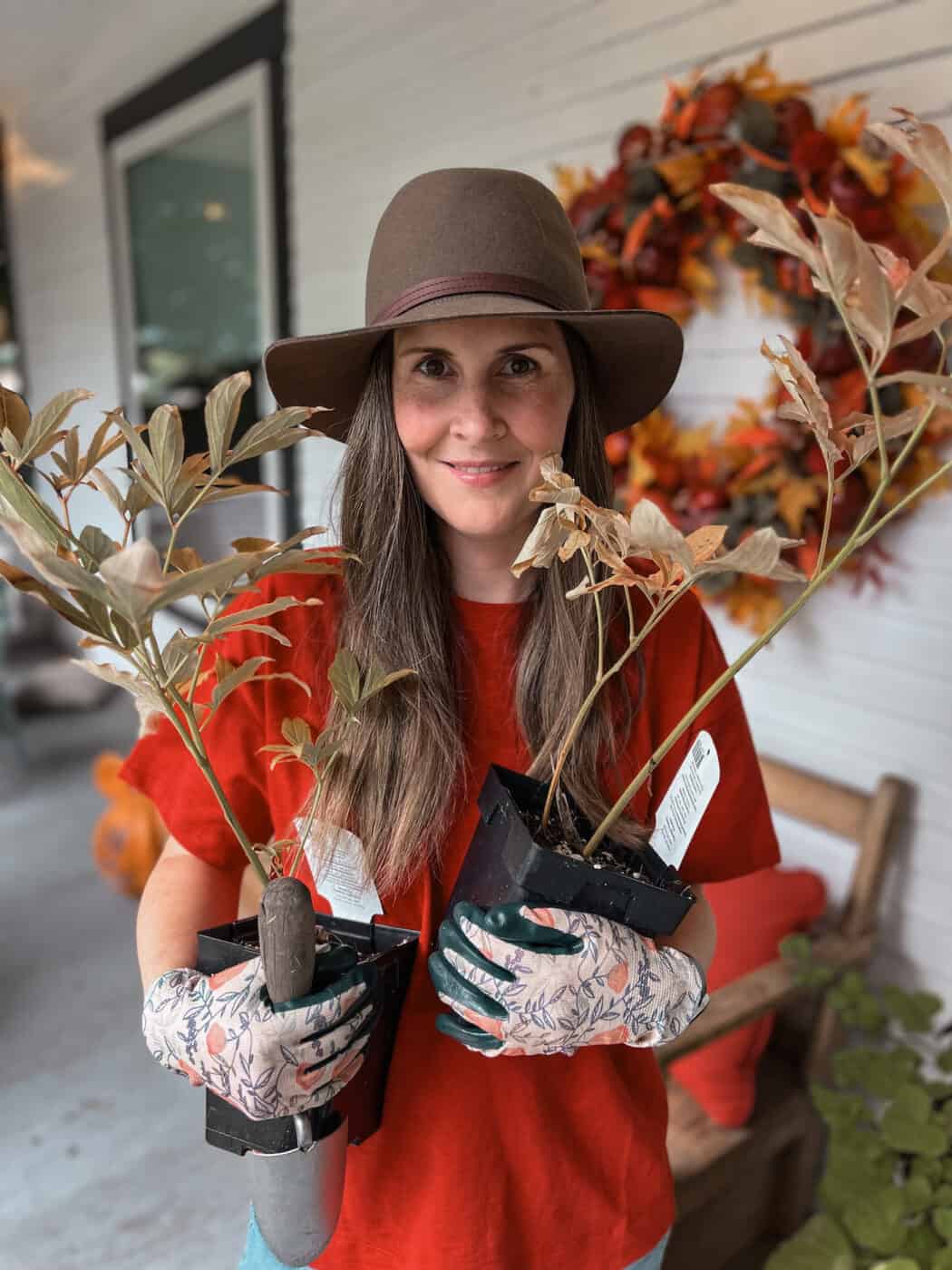 15+ perennial flowers to plant in fall