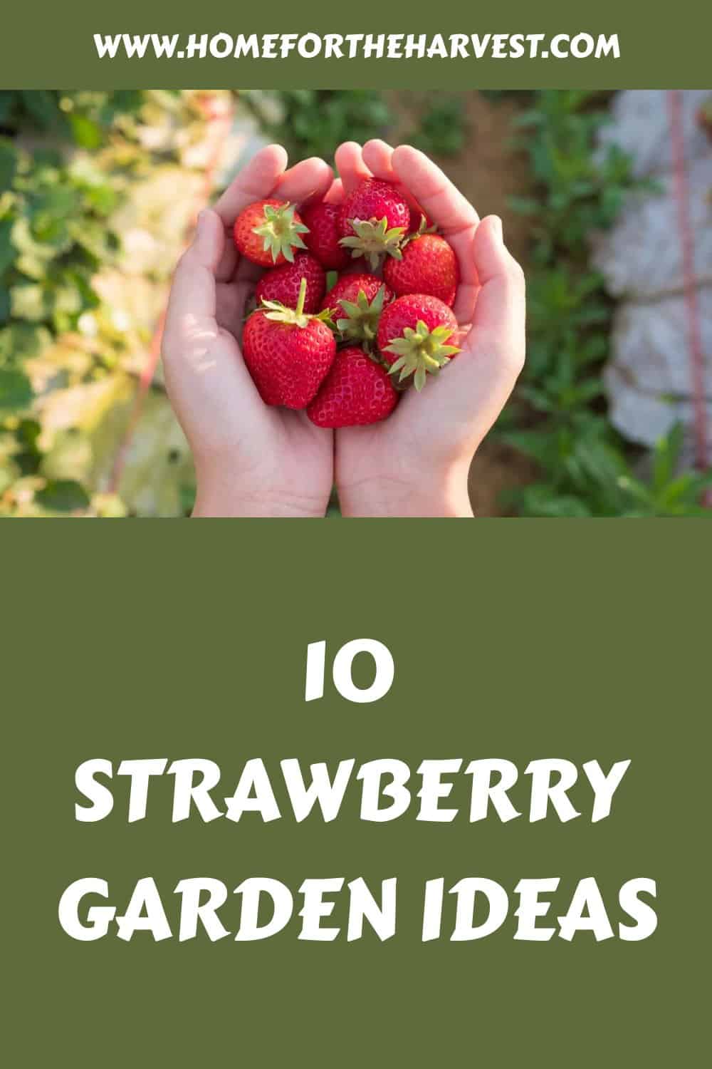 10 strawberry garden ideas generated pin 41202