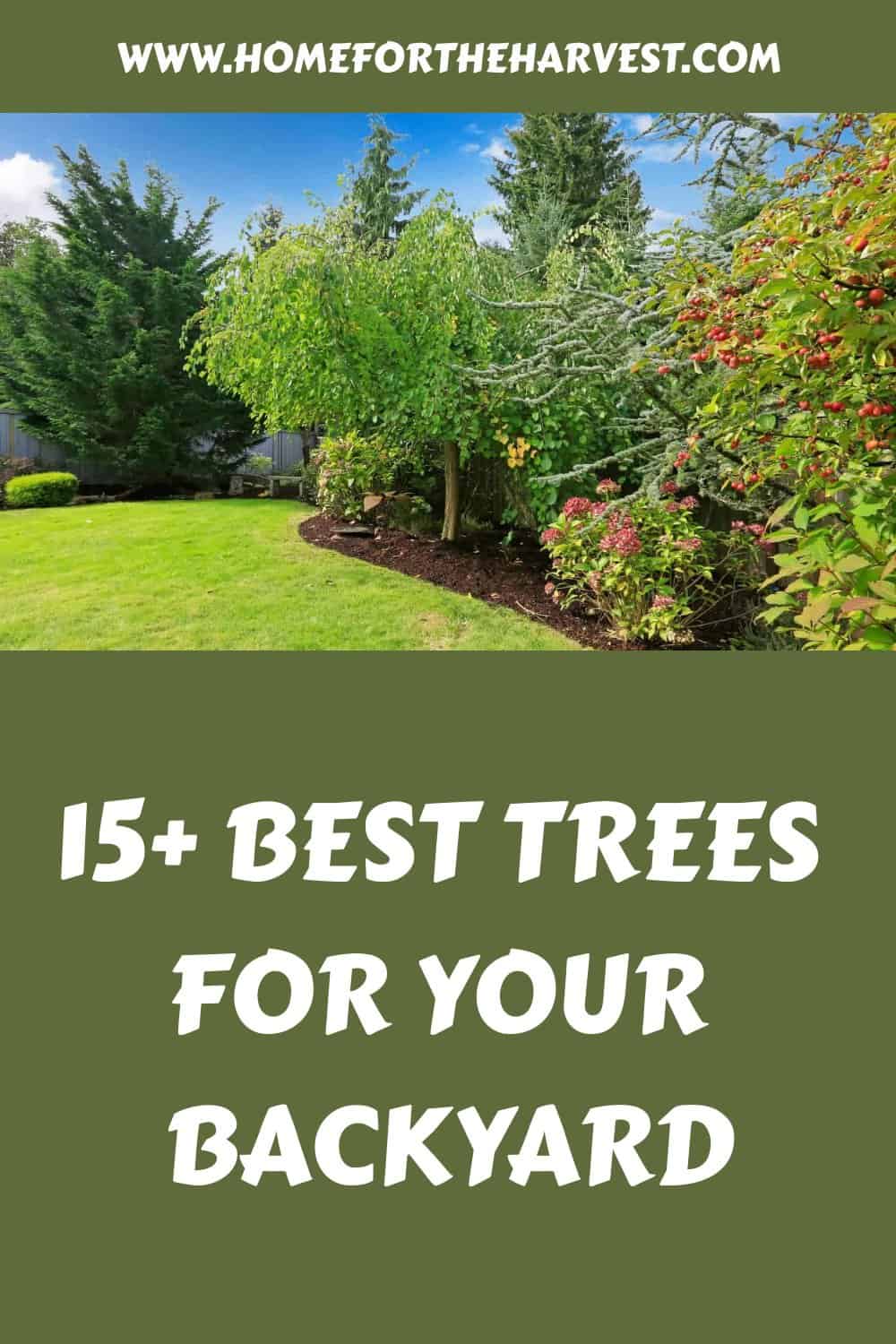 15 best trees for your backyard generated pin 45415
