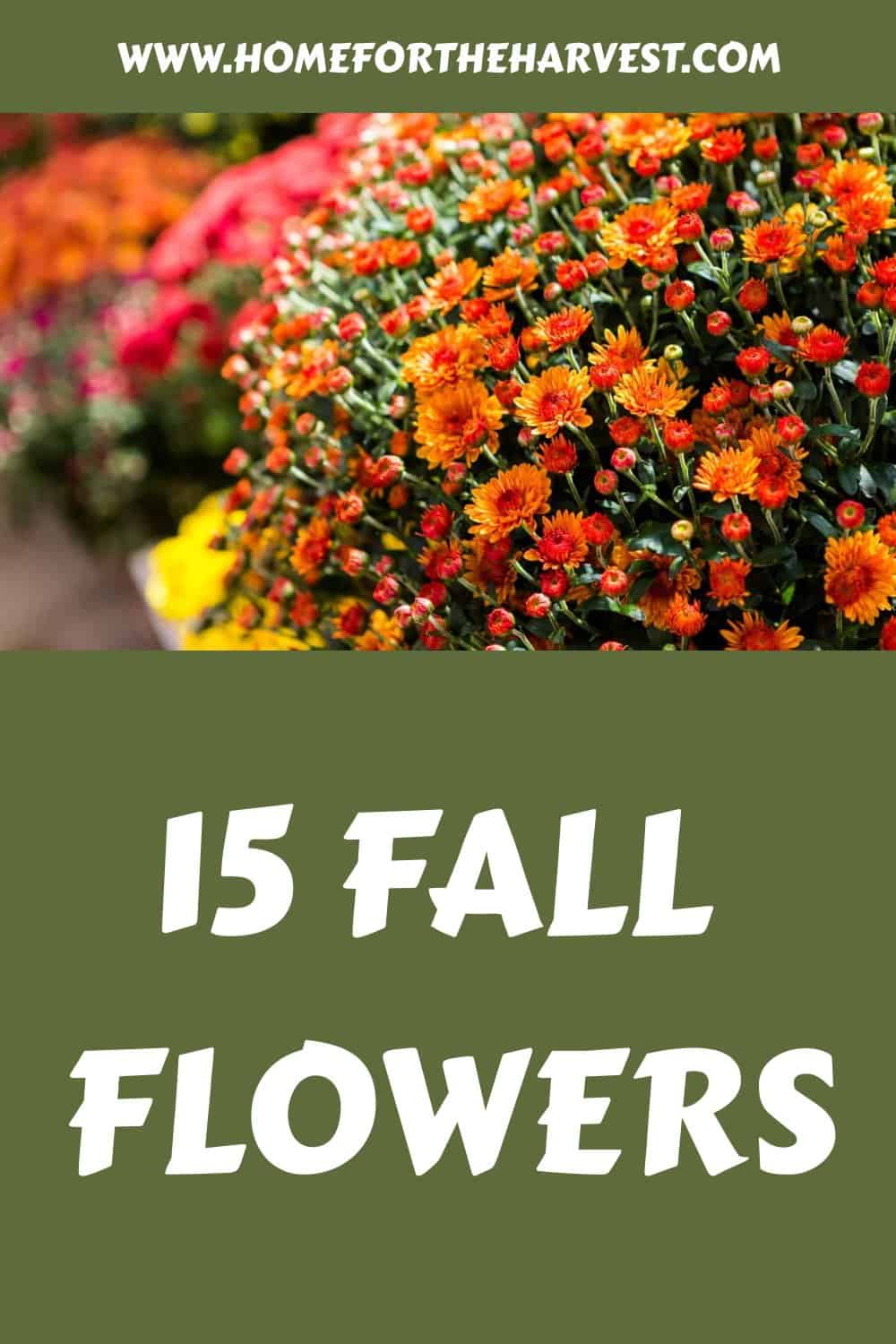 15 fall flowers generated pin 69488