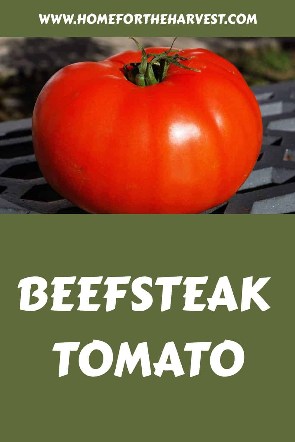Beefsteak tomato generated pin 18233