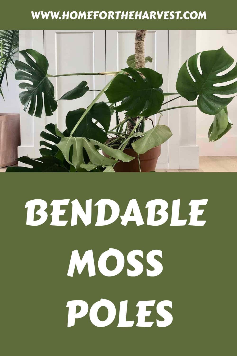 Bendable moss poles generated pin 29896