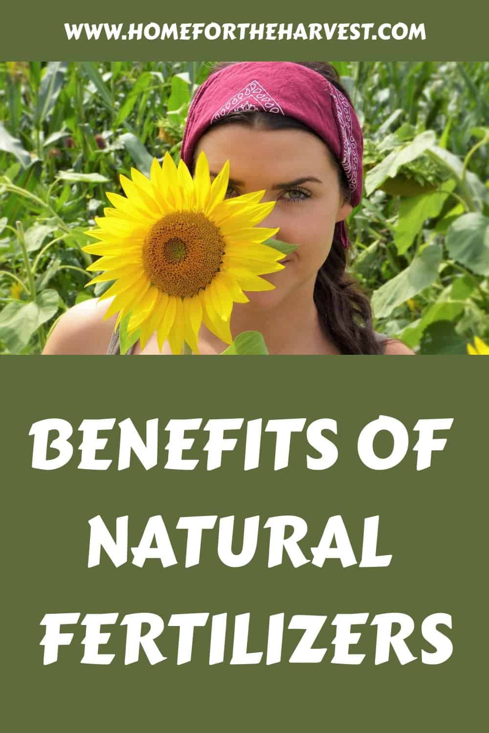 Benefits of natural fertilizers generated pin 12045