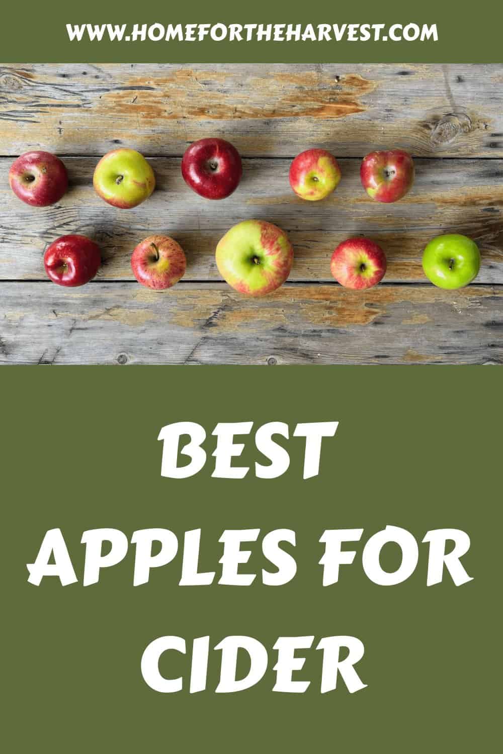 Best apples for cider generated pin 44998