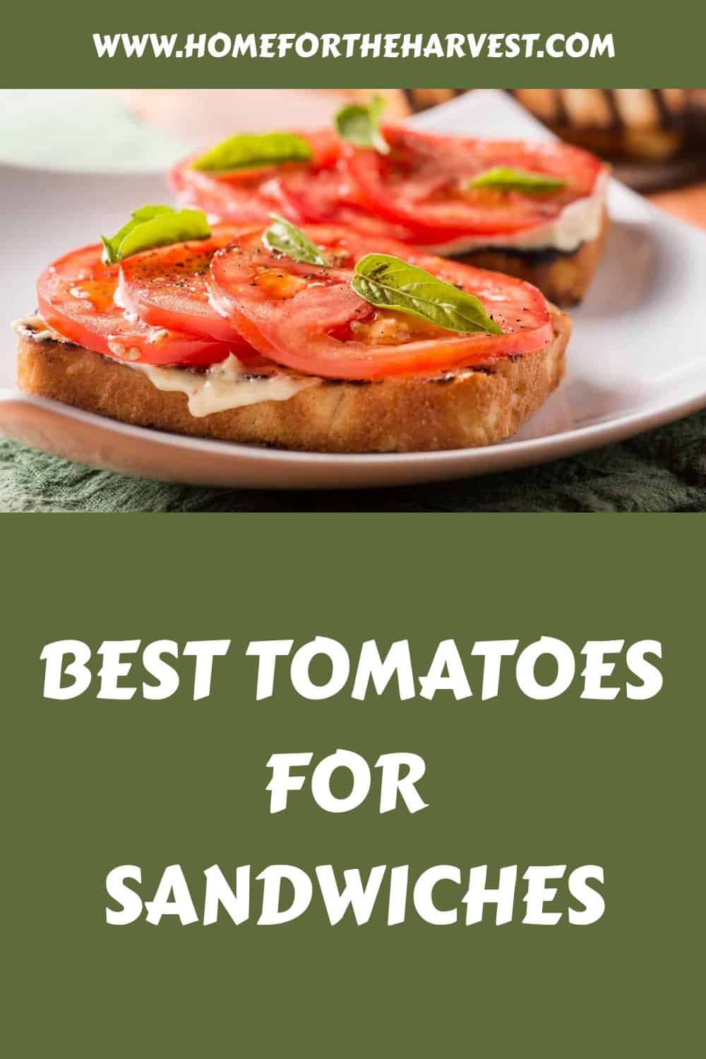 Best tomatoes for sandwiches generated pin 18357