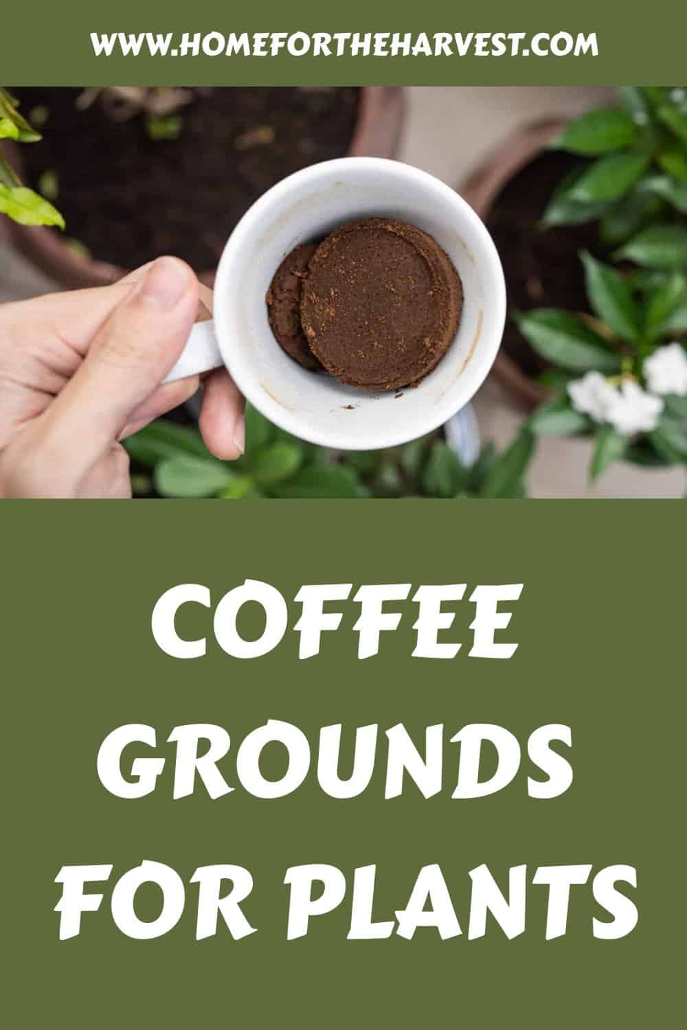 Coffee grounds for plants generated pin 66655