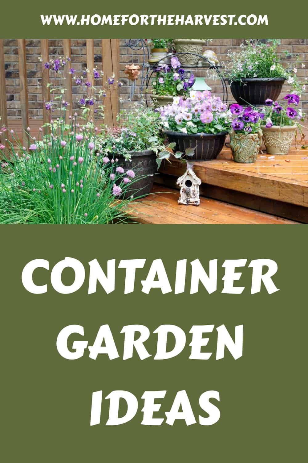 Container garden ideas generated pin 53808