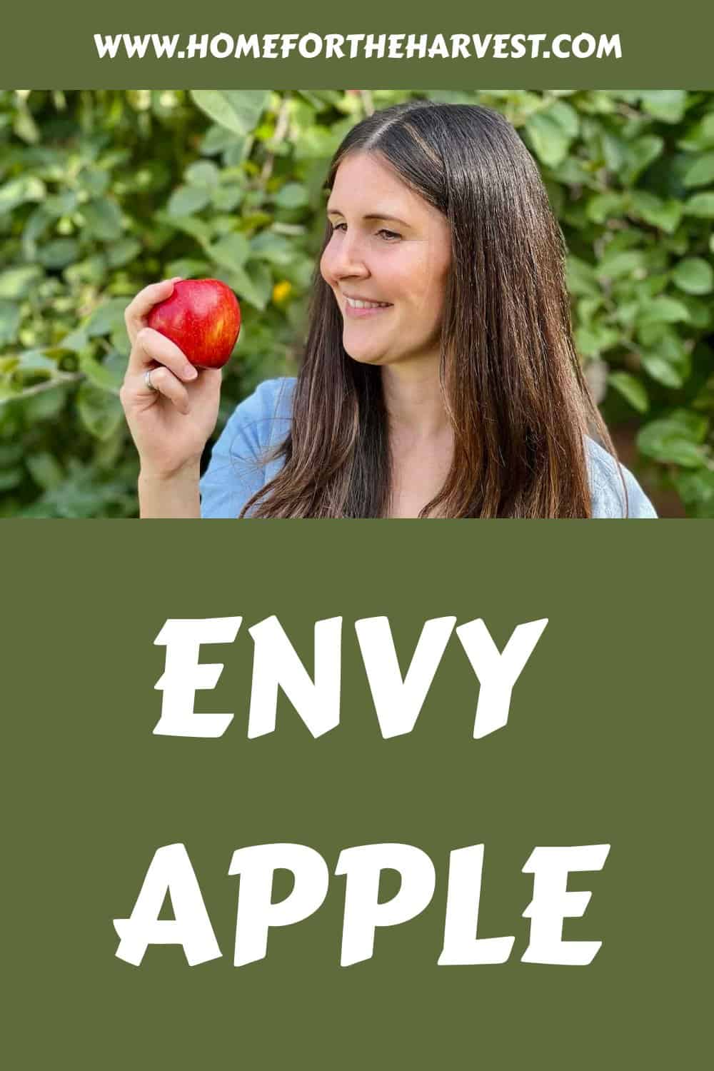 Envy apple generated pin 12492