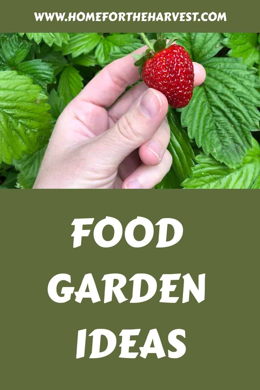 Food garden ideas generated pin 10971