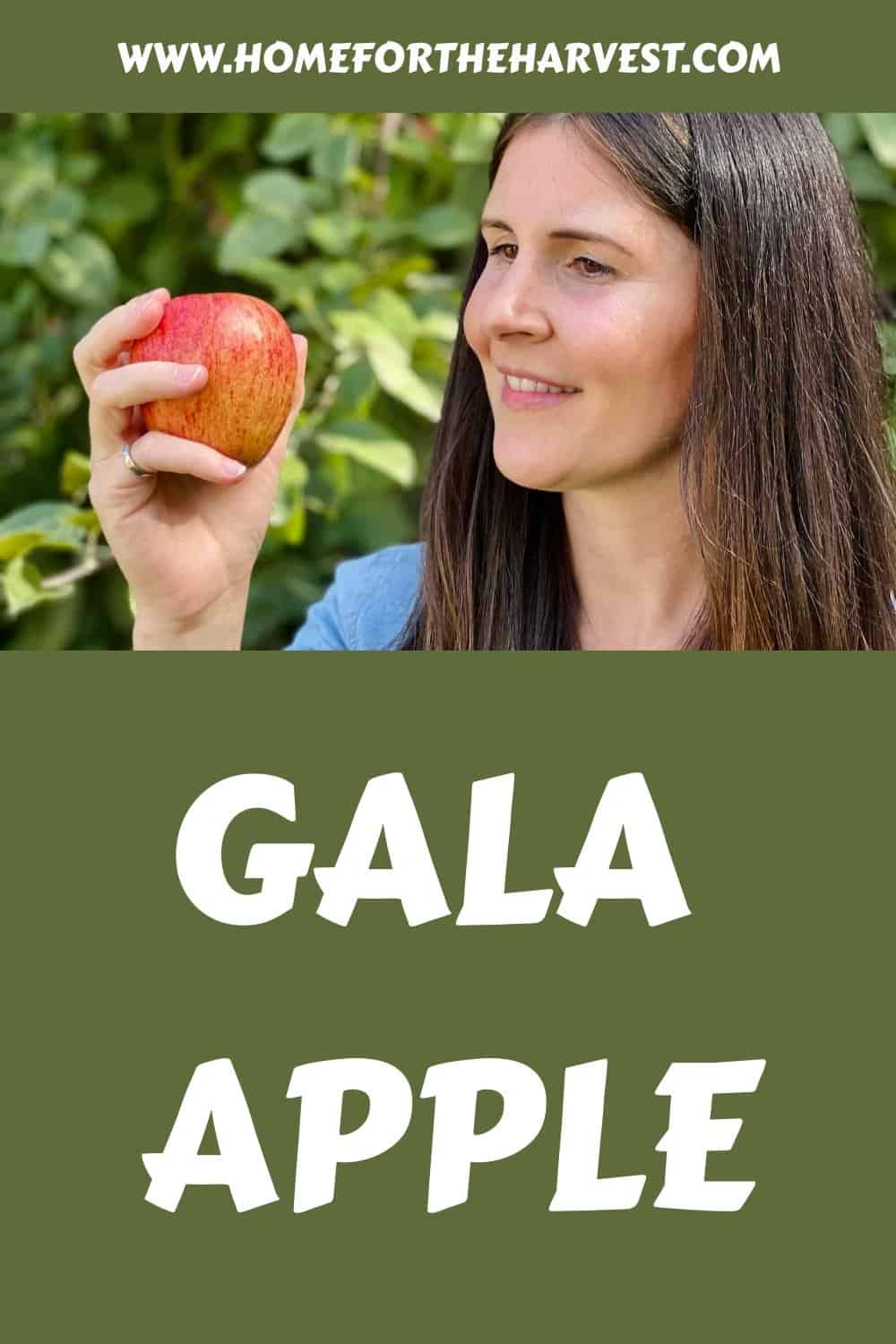 Gala apple generated pin 12473 1