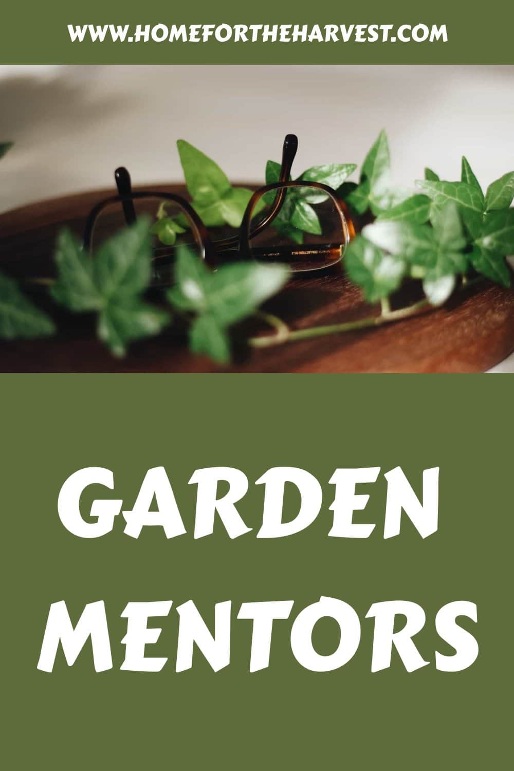 Garden mentors generated pin 1639
