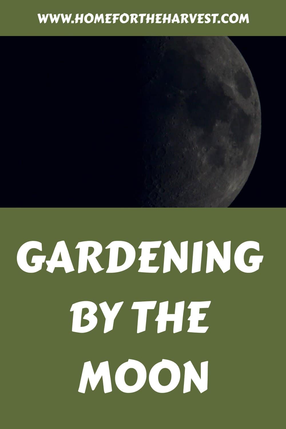 Gardening by the moon generated pin 2202