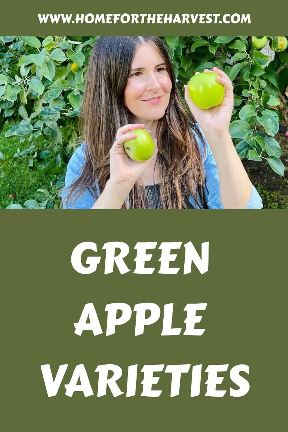 Green apple varieties generated pin 13596