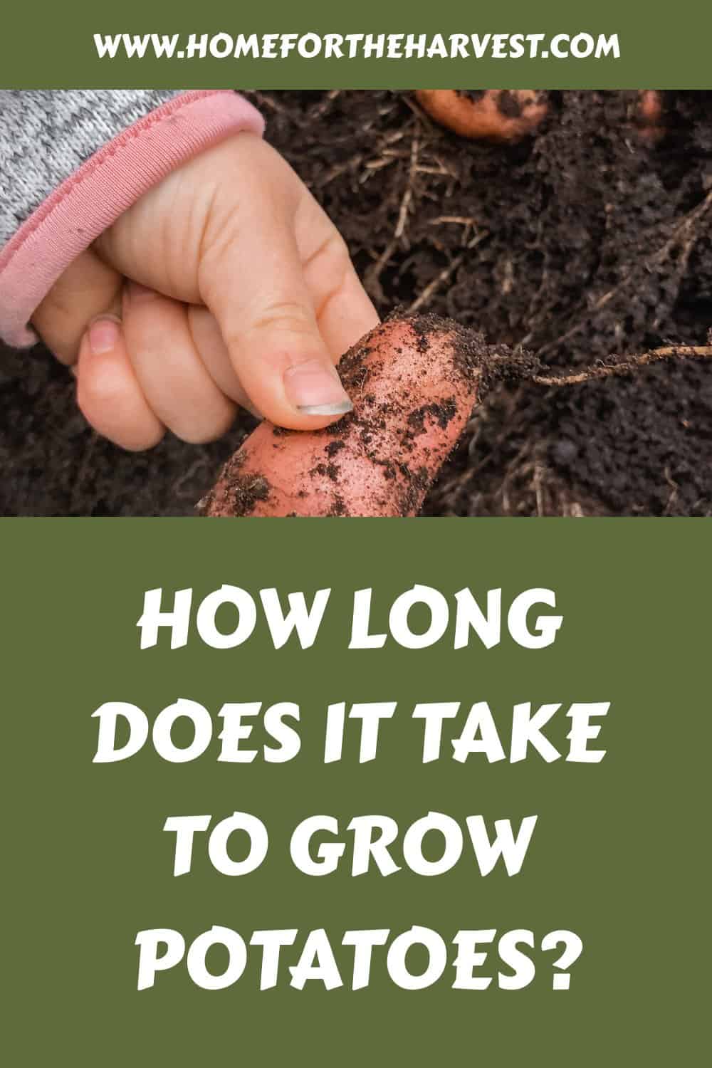 How long does it take to grow potatoes generated pin 16572
