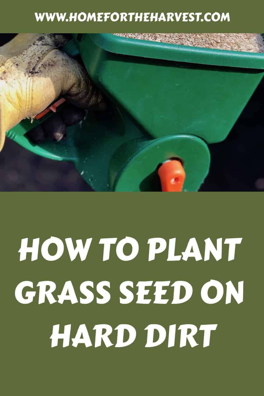 How to plant grass seed on hard dirt generated pin 5630