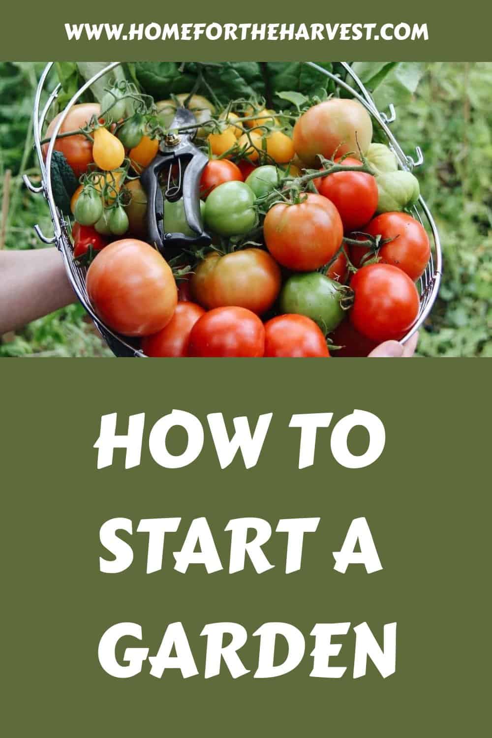 How to start a garden generated pin 2189