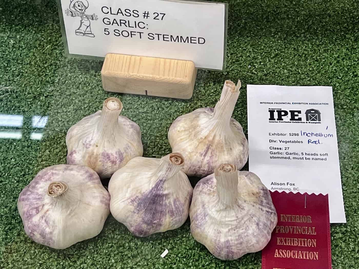 Inchelium red prize winning garlic armstrong ipe