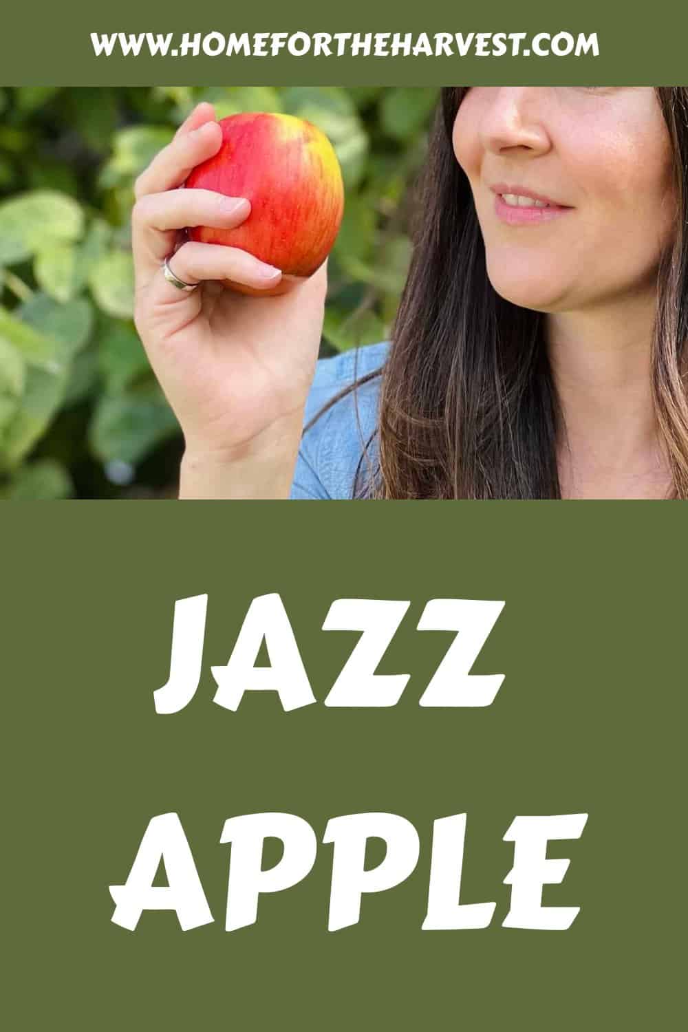 Jazz apple generated pin 21970