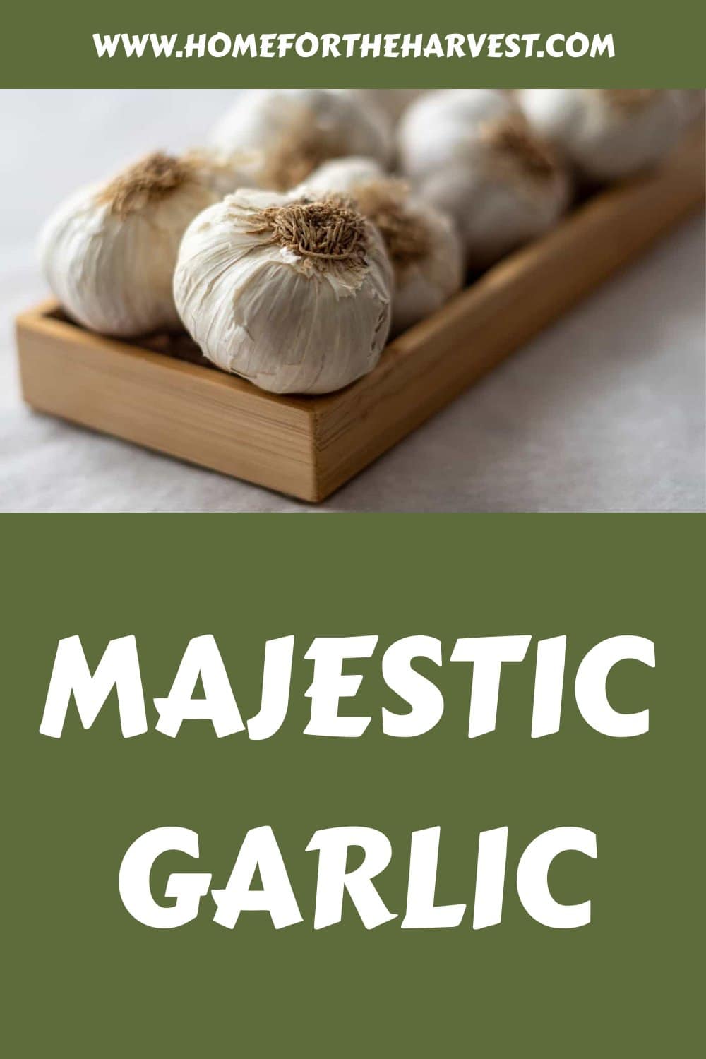 Majestic garlic generated pin 69719