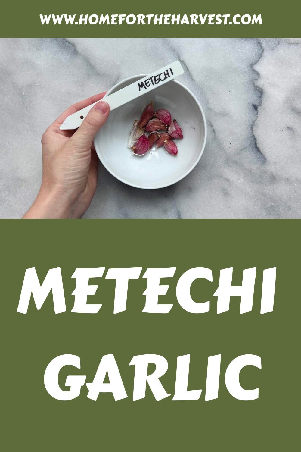 Metechi garlic generated pin 69640