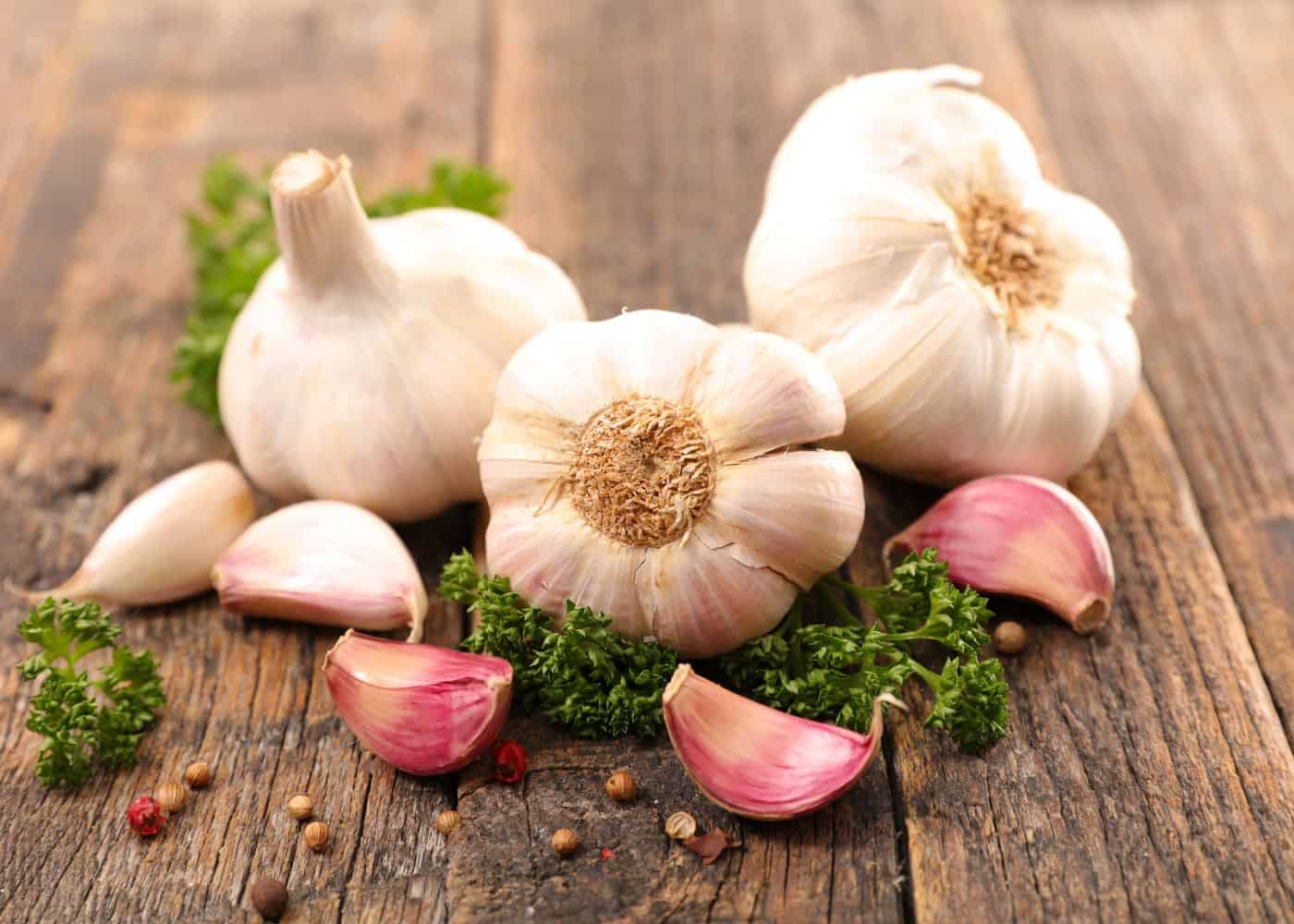 Nootka rose garlic