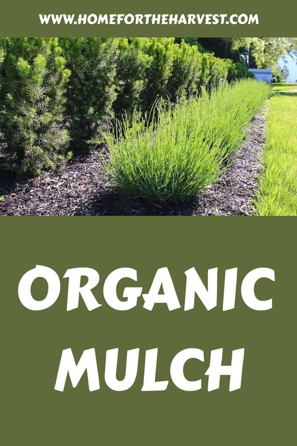 Organic mulch generated pin 2532