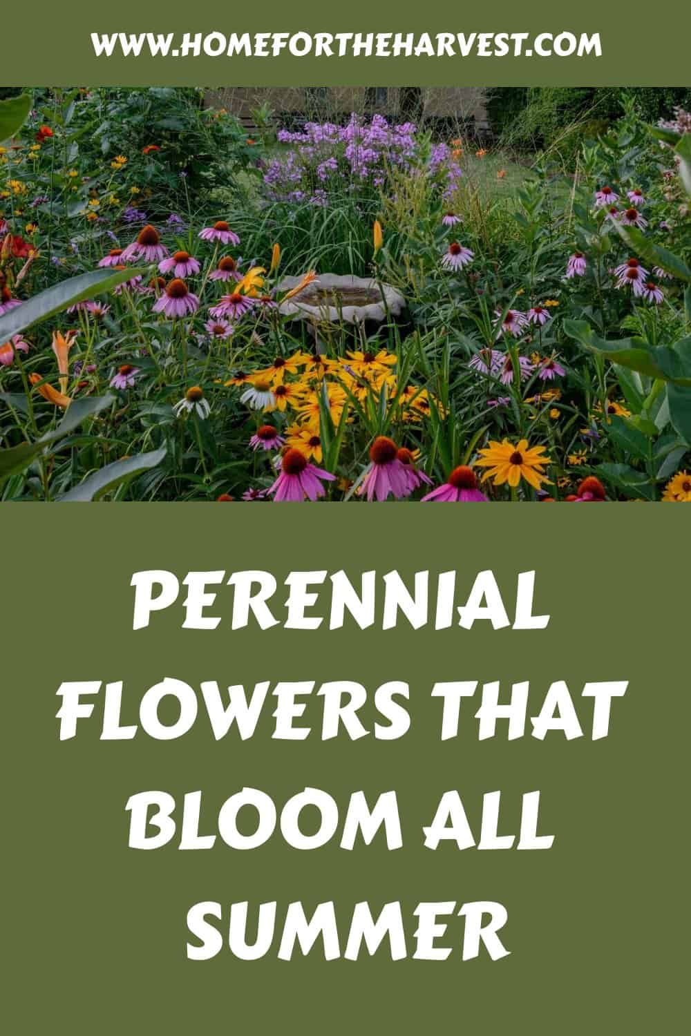 Perennial flowers that bloom all summer generated pin 13436