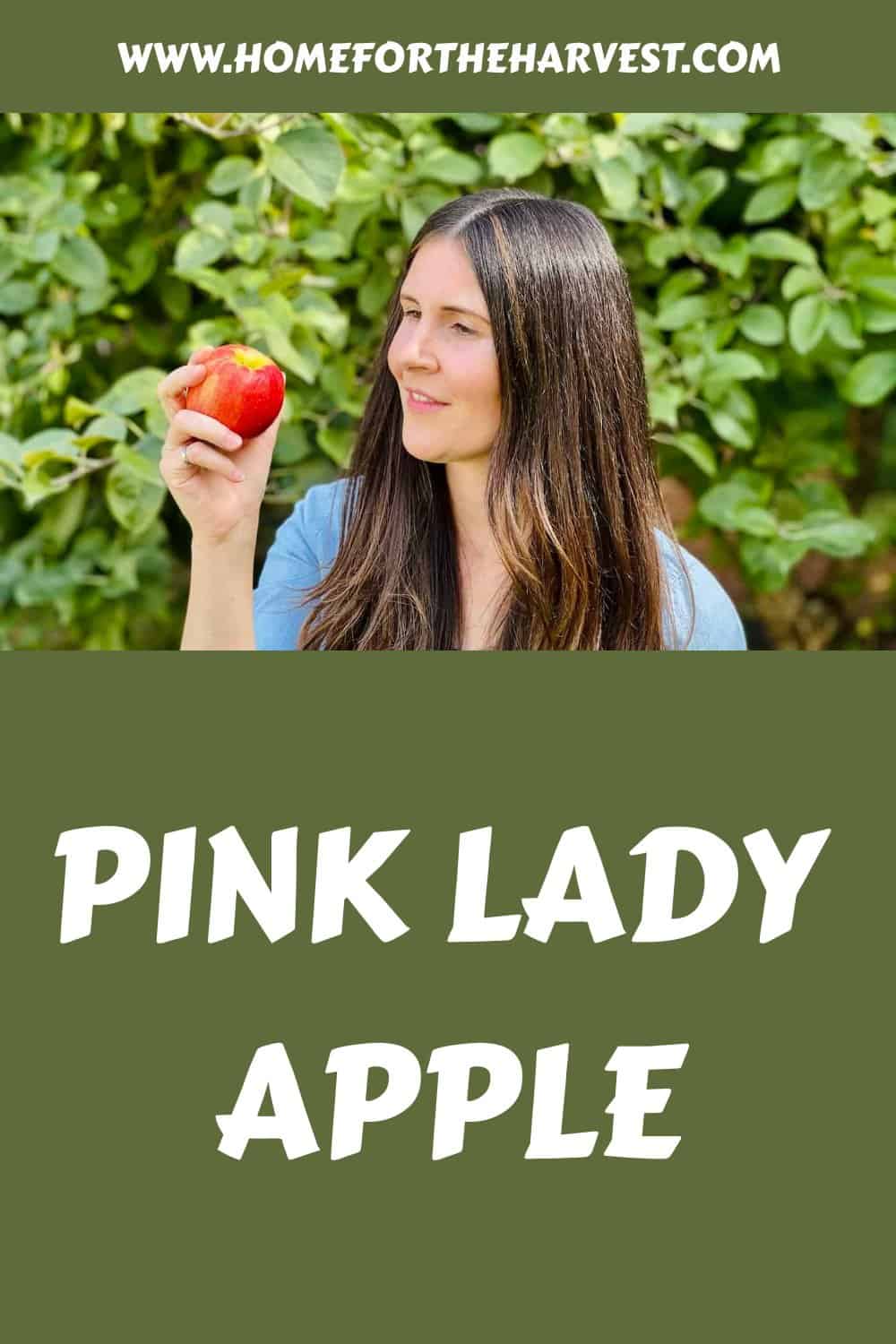 Pink lady apple generated pin 12486