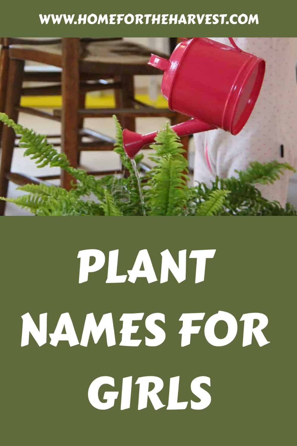 Plant names for girls generated pin 12775