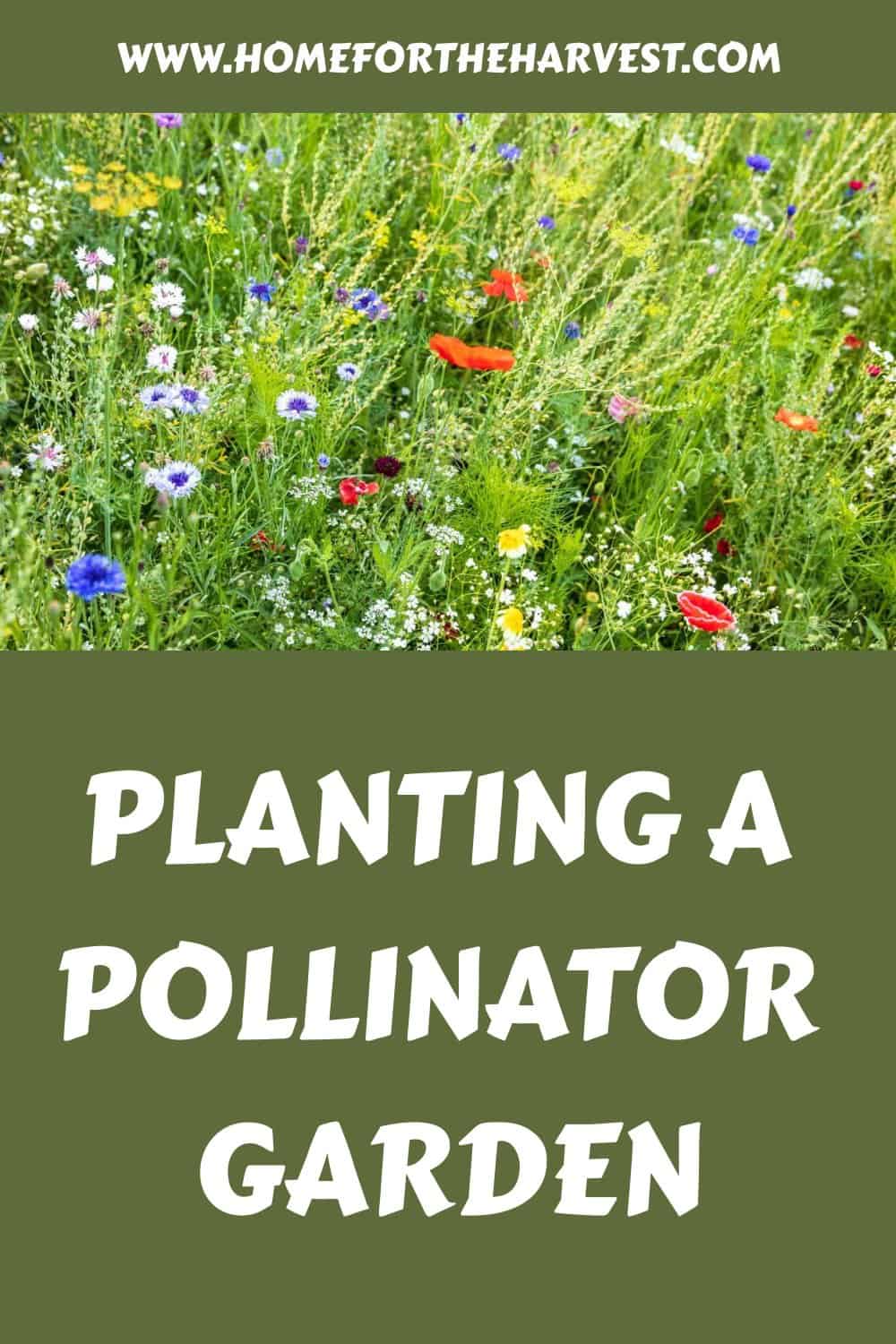 Planting a pollinator garden generated pin 65654