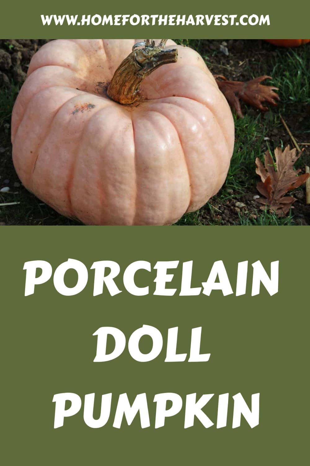 Porcelain doll pumpkin generated pin 19406