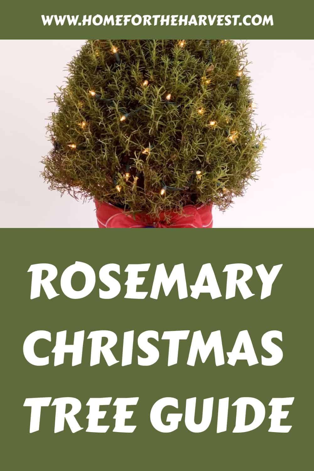 Rosemary christmas tree guide generated pin 30344