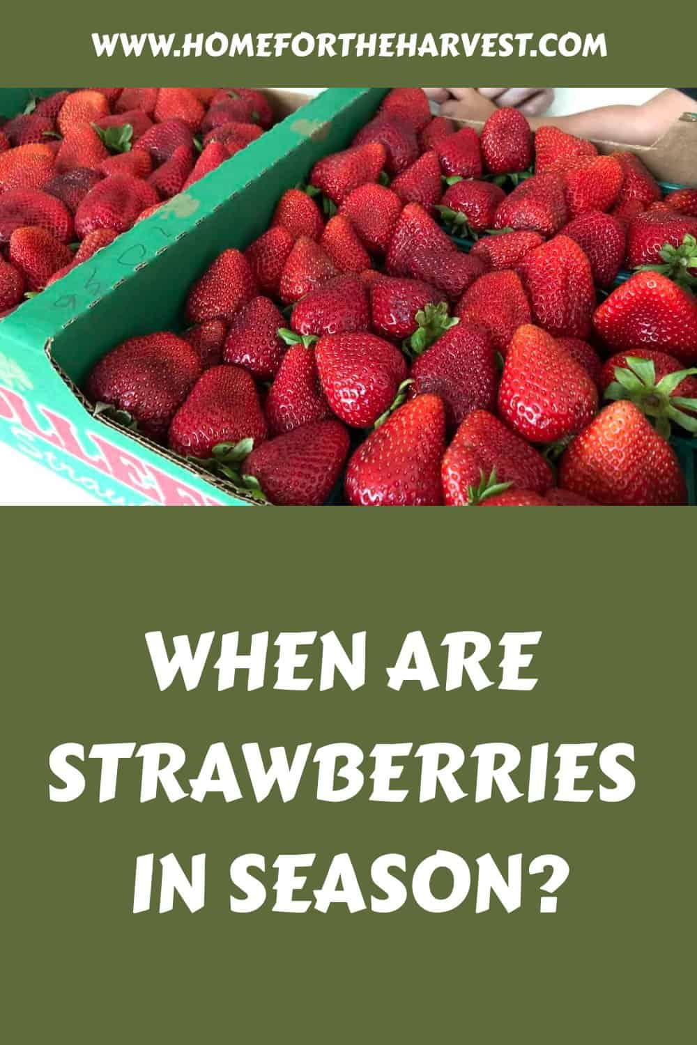 When are strawberries in season generated pin 10504